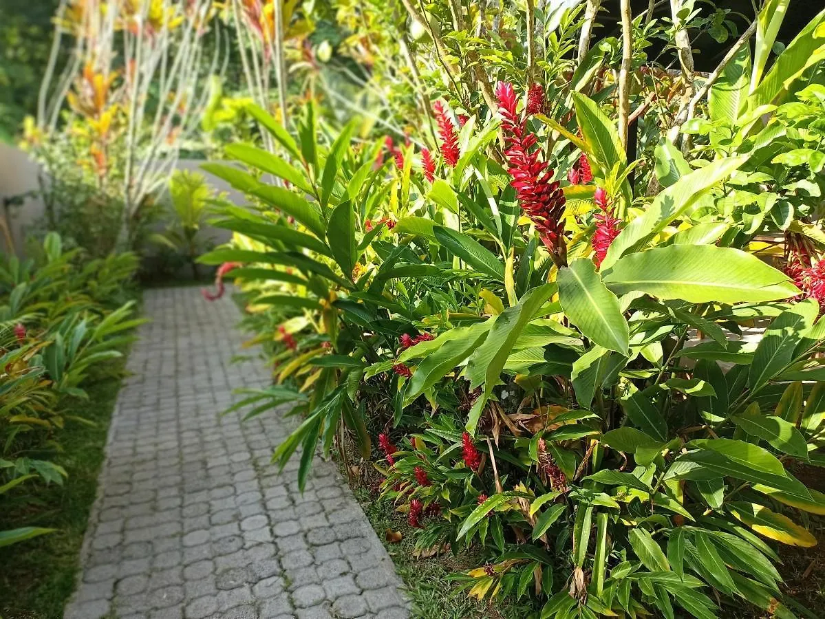 L'Oasi Guest House Baie Lazare  Seychelles